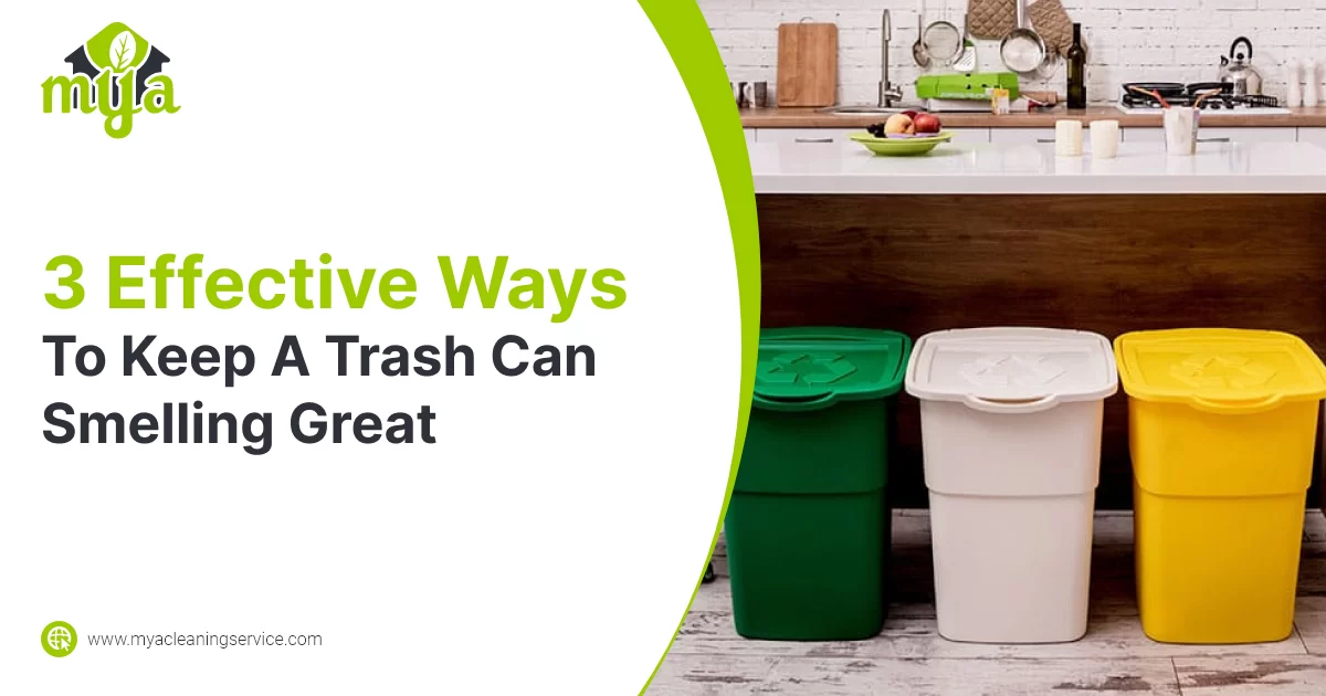 How to Keep a Garbage Can From Smelling: 4 Clever Ideas