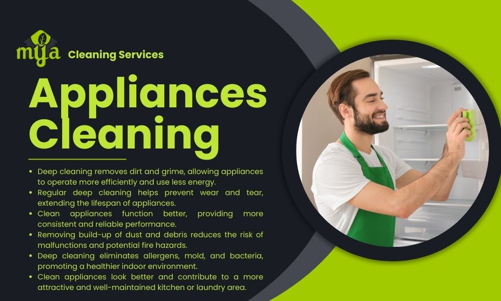 appliances cleaning